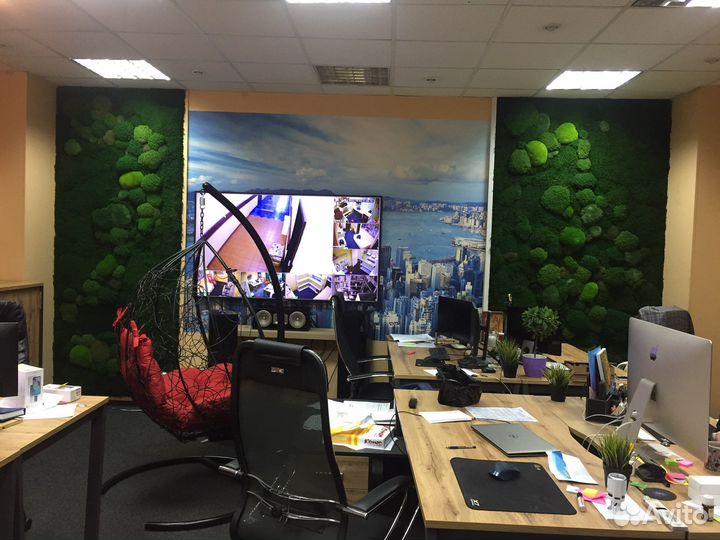 Панно из стабилизированного мха