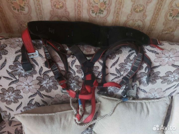 Стремена павлика