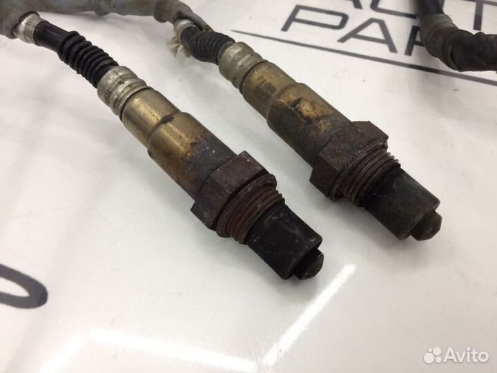 Подкапотная проводка Ford Focus 2 CB4 1.6 100Л/С