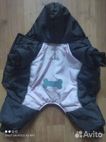 Одежда для маленькой собачки