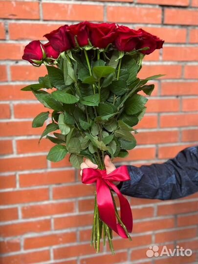 Цветы розы с доставкой. Красная роза 70см