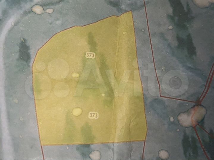 Участок 50 сот. (СНТ, ДНП)