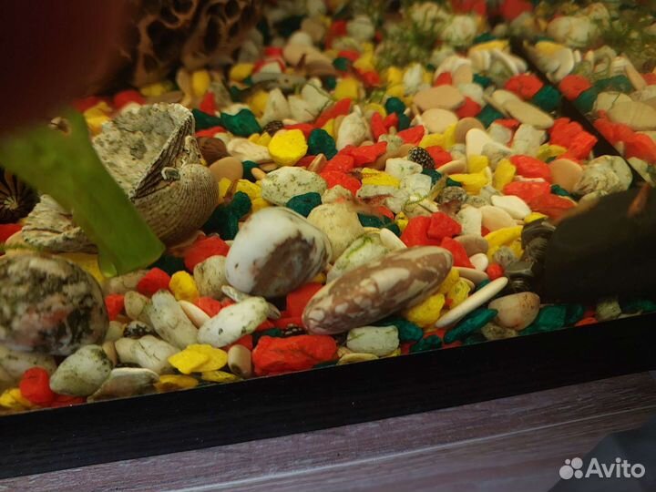 Аквариум на 120 литров