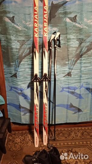 Лыжный комплект