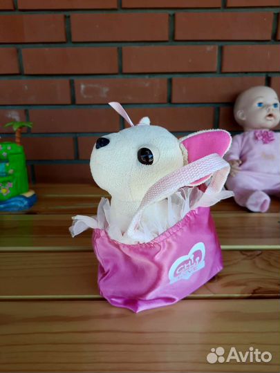 Собачка чичилав