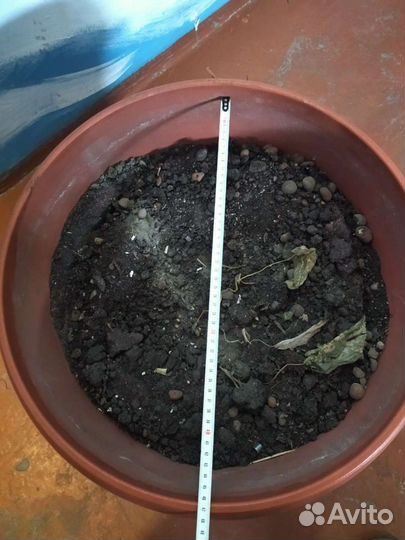 Горшок для цветов напольный