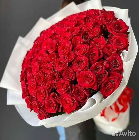 Розы гиганты 140 150 160 170 180 200