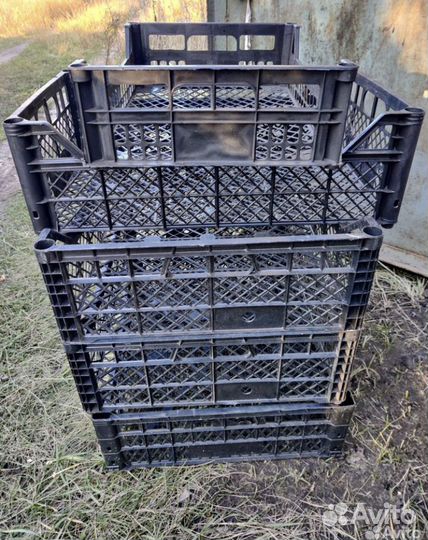 Ящики под рассаду