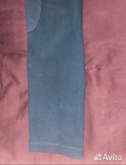 Бриджи для конного спорта