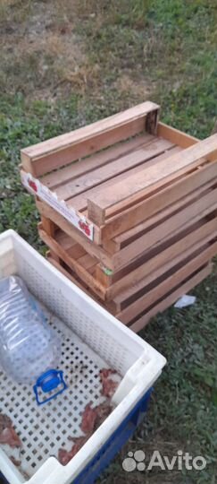 Ящик деревянный