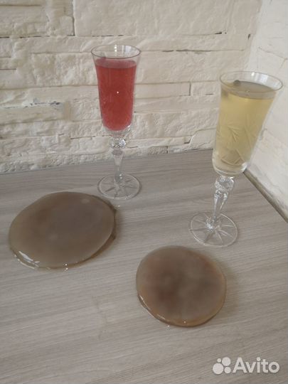 Чайный гриб комбуча