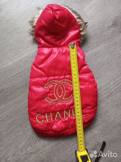 Костюм,кофта,жилетка,трусы,ошейник,поводок собакам