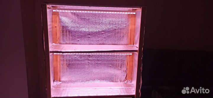 Стеллаж для рассады с подсветкой