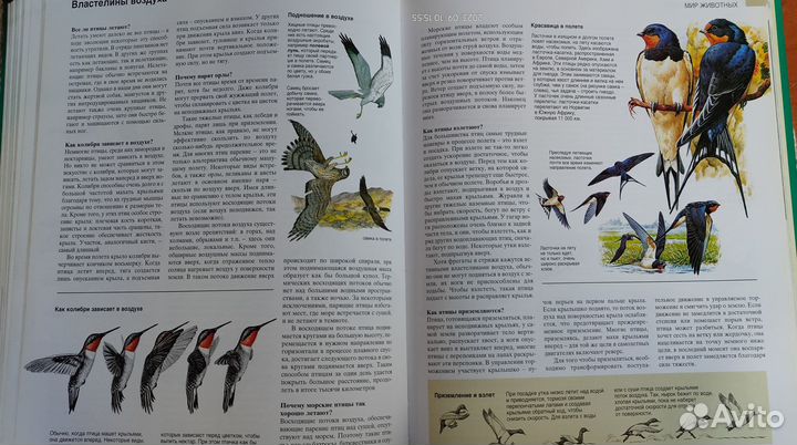 Азбука природы