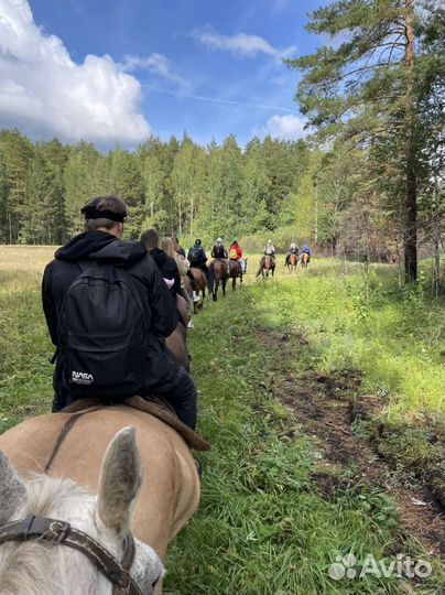 Конный поход (5 часов) на озеро Тальков Камень