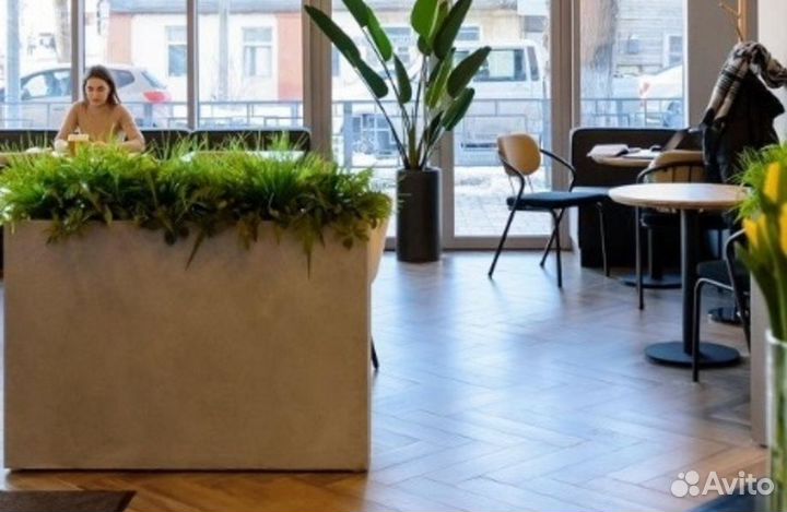 Кофейня в премиальном ЖК / Дизайнерский ремонт