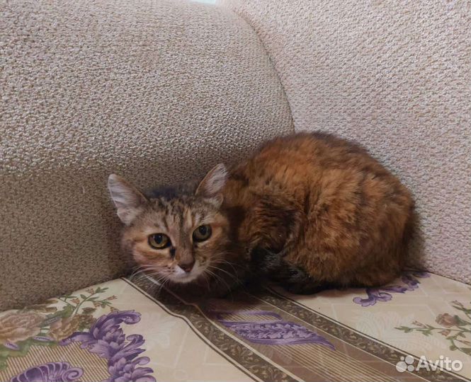 Марточка очень нуждается в семье