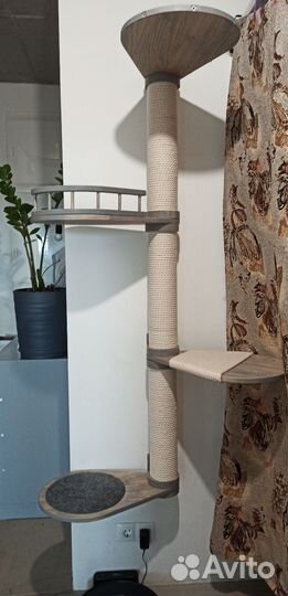 Когтеточка для кошек