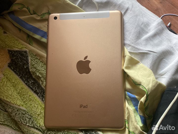 iPad mini3