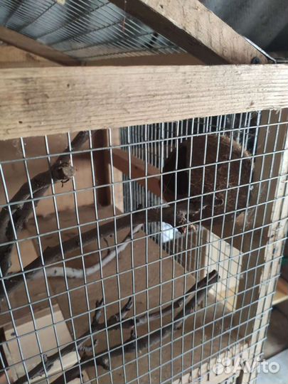 Клетка для шиншиллы