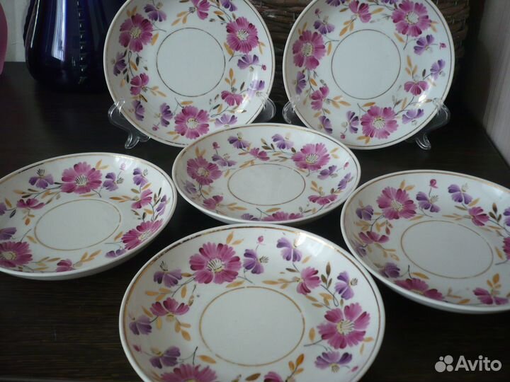 Блюдца-астры-Вербилки-55 г