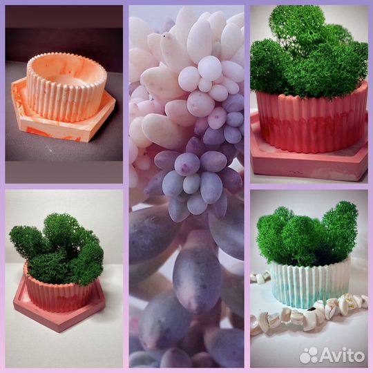 Кашпо из гипса под суккуленты и мох