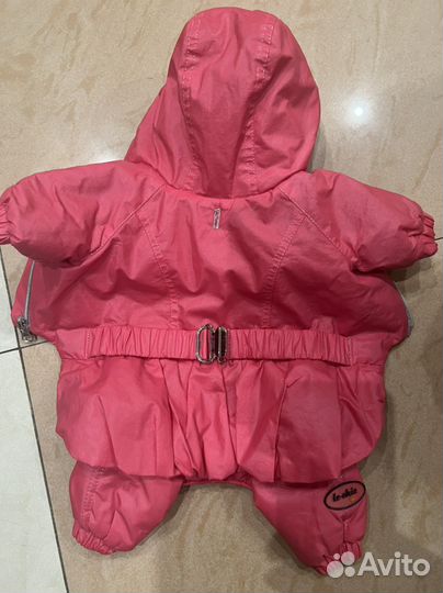 Одежда для маленьких собак s