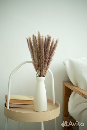 Пампасная трава, кортадерия, сухоцветы