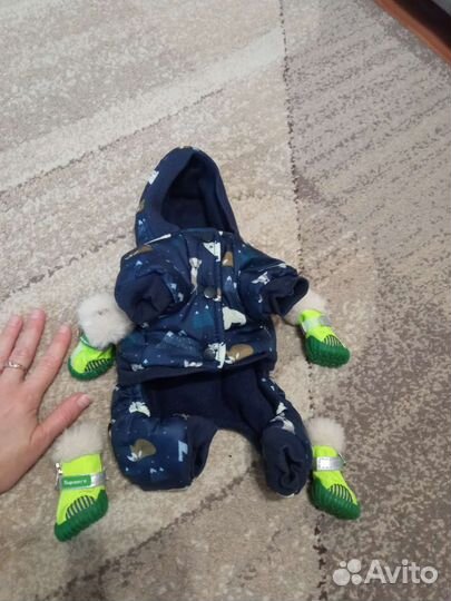 Одежда и обувь для маленьких собак