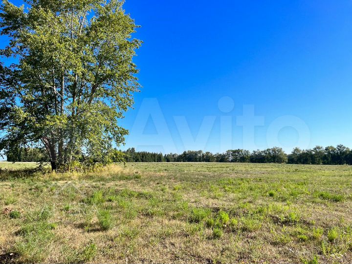 Участок 15,78 га (промназначения)