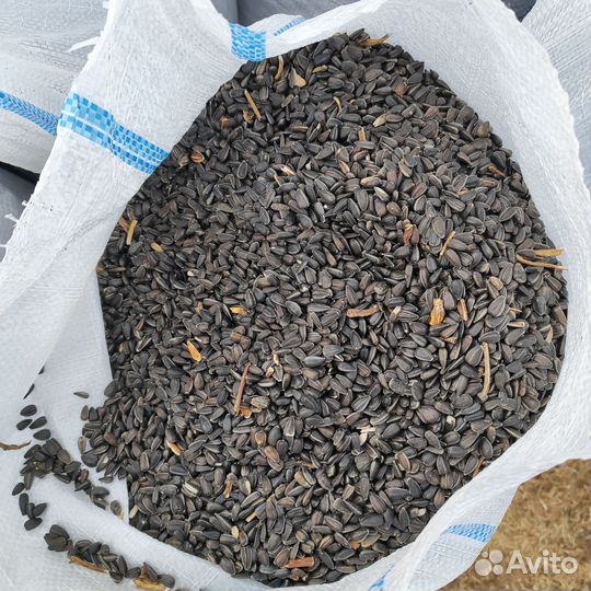 Семечки подсолнечника очищенные