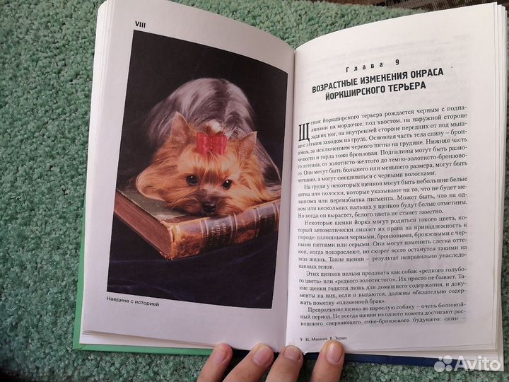 Книга про Йоркширского терьера