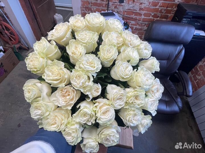 Розы без посредников, 101 роза, большие букеты