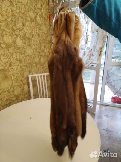 Шкуры баргузинского соболя