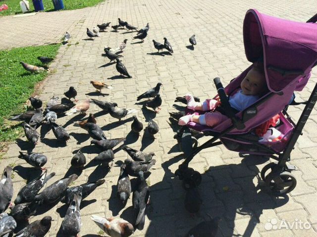 Прогулочная коляска Chicco Lite Way оригигал