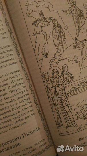 3 вида - Библия для детей