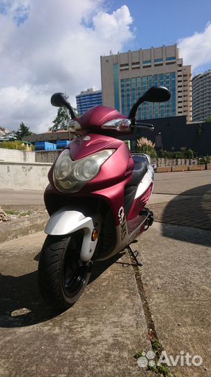 Omaks Falcone 150/50