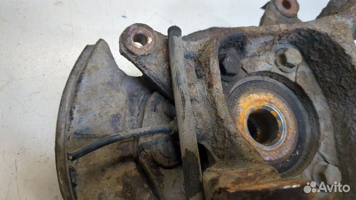 Ступица (кулак, цапфа) Subaru Legacy Outback (B14), 2011