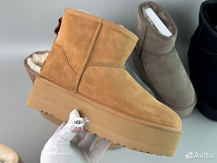 Угги женские Ugg Classic Mini Platform