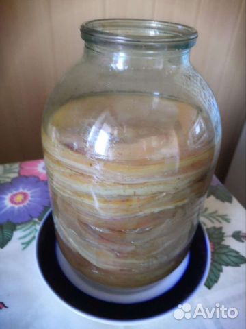 Чайный гриб