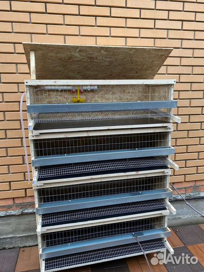 Клетки для перепелов