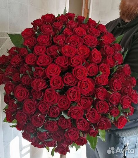 101 роза. Букет из 101 розы с доставкой