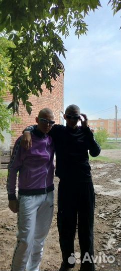 Любая работа, подработка