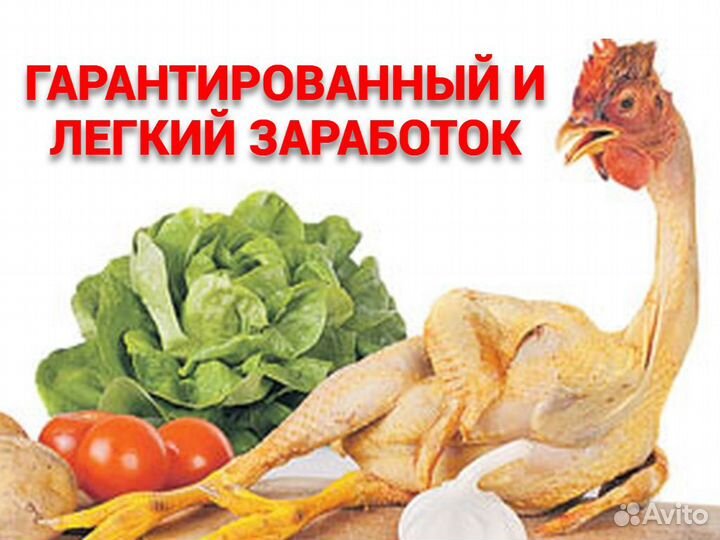 Разнорабочие без опыта Вахта Птицефабрика