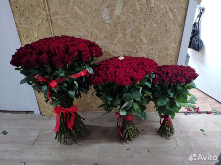 Роза букет розы букеты 51штук 101 штук