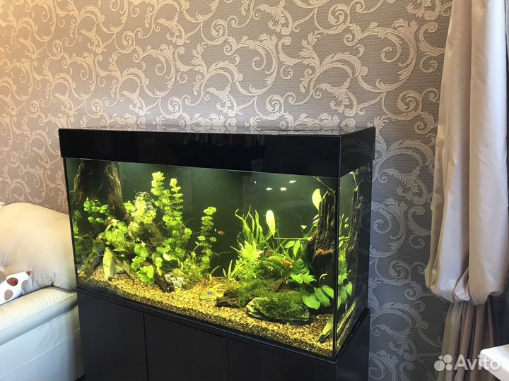 Аквариумы на заказ по вашим размерам