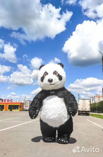 Поздравление от Панды, Мишки