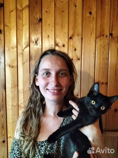 Занимаемся передержкой животных (собак, кошек и др