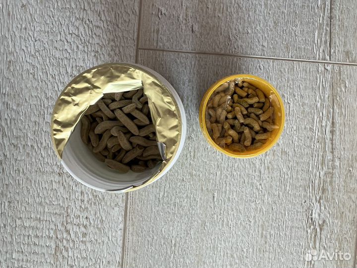 Корм для черепах