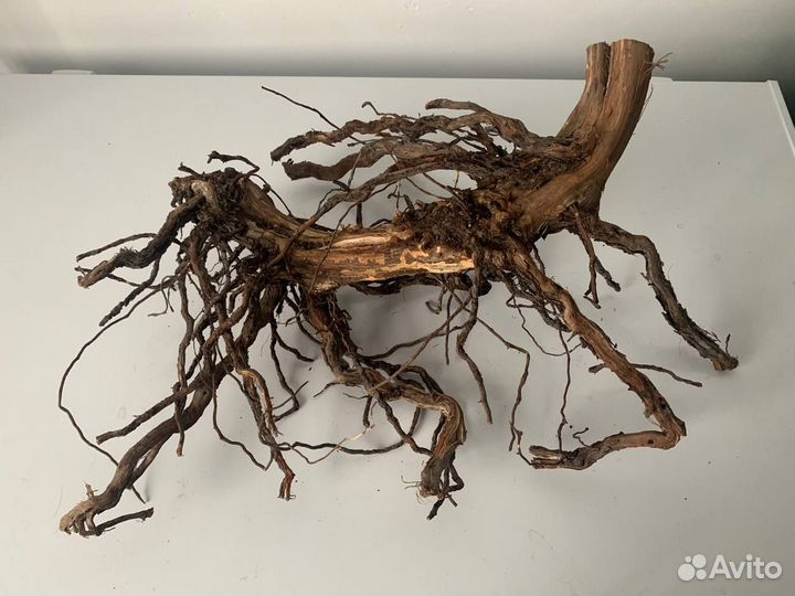 Коряги для аквариума